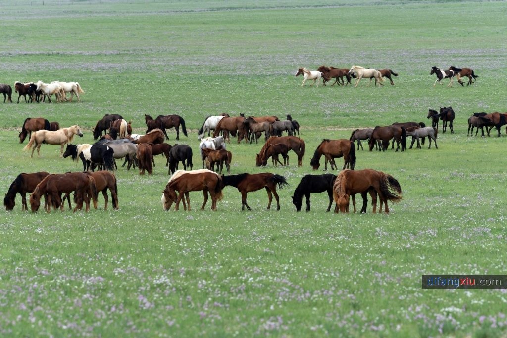 内蒙古草原图片5